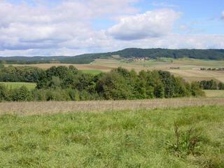 #1: Confluence point on the edge of the trees in the center of picture