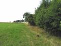 #4: confluence (red bag) looking west