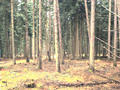 #3: View to east