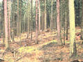 #4: View to south