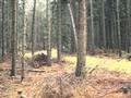 #5: View to west