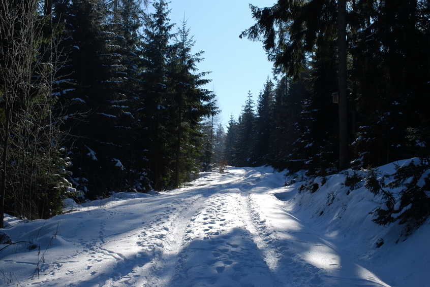 Hiking path to the CP