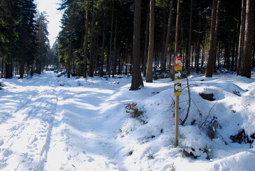 Junction to the right - to Burgstein