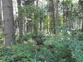 #2: East