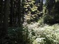 #3: South
