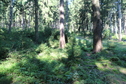 #5: View looking West