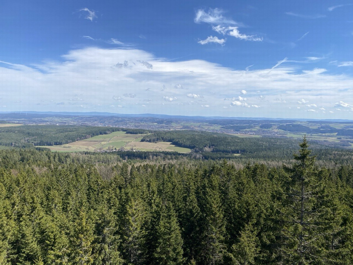 view from Burgstein