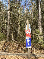 #6: follow the cross-country ski trail (in spring)