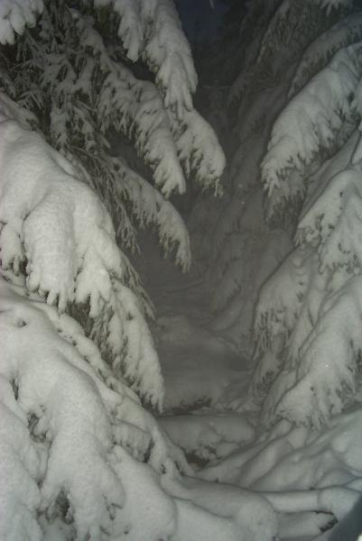 Everything was covered with snow / Alles war tief verschneit