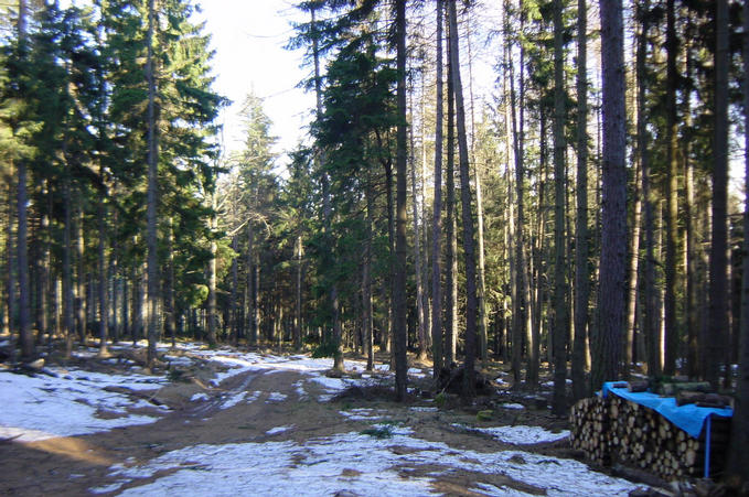 The hiking path seen looking east