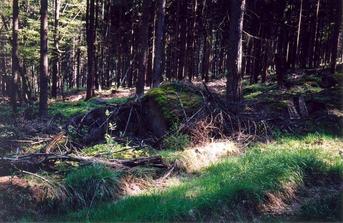 #1: General view of the confluence (towards SW)