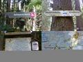 #6: Marked tourist paths in the Kösseine massif