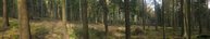 #2: North-East Panorama
