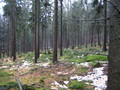 #3: View South