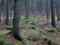 #4: View West
