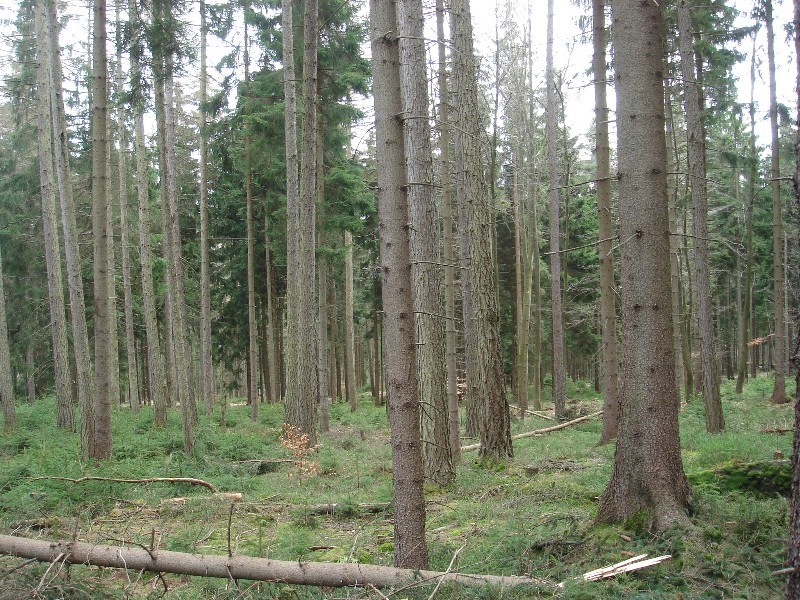 South view / Südliche Sicht