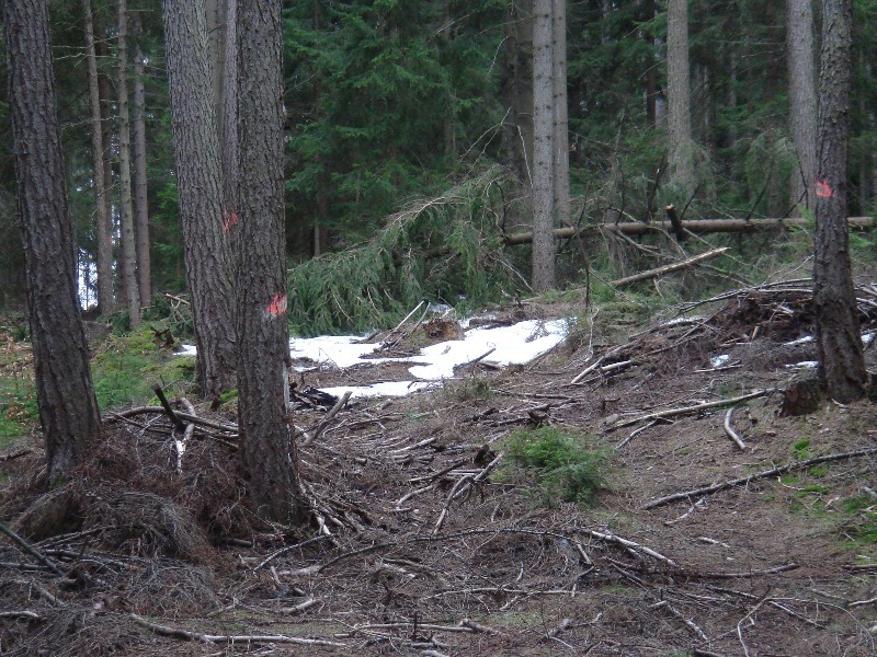 Rest of Wintertime in April / Letzte Schneereste in Ostern