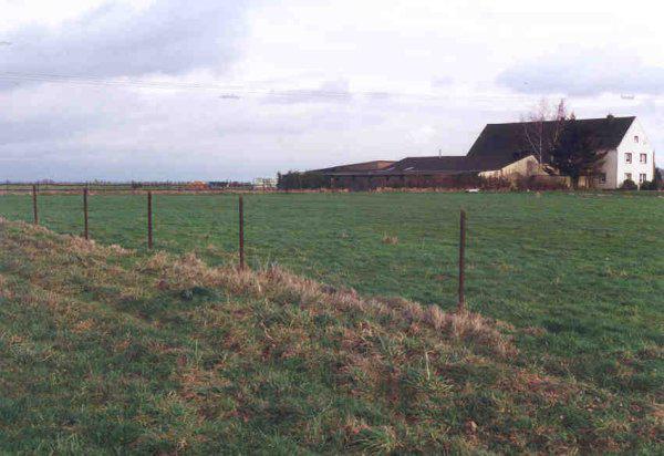 looking east with farm