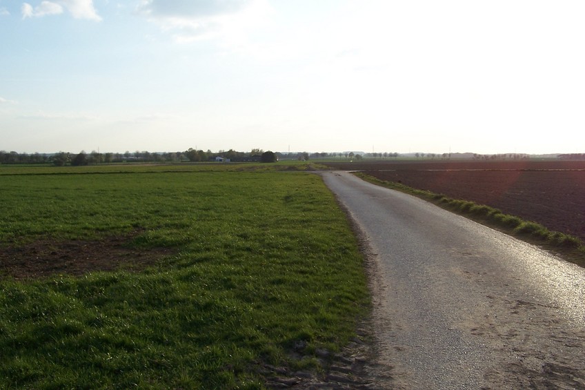 View towards W from the confluence