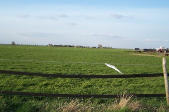 #1: General view of the confluence (towards N)