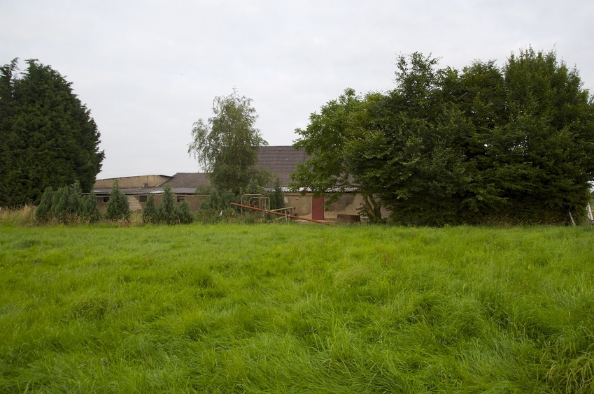 View East (of the neighboring house)