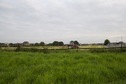 #3: View South (The "Mercatorpunkt" lies next to the tree on the right-hand side of the photo, behind the passing car)