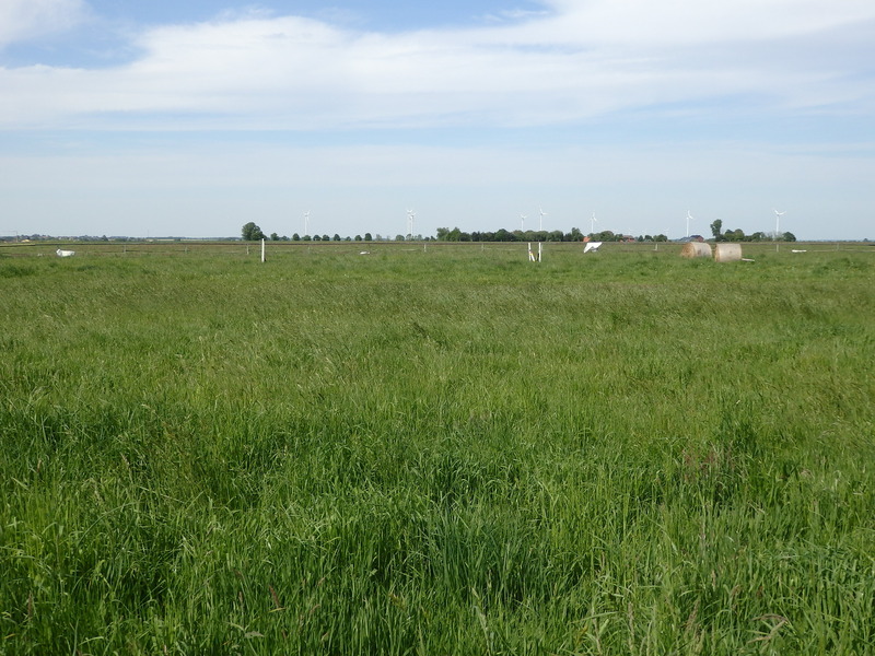 The Confluence from 20 m distance