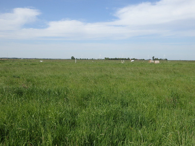 View to the North