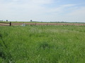 #5: View to the West