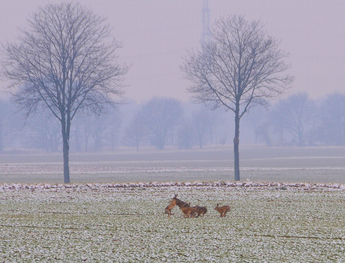 Der Osterhase wohnt am Confluence Punkt?