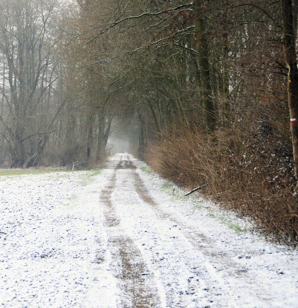 Impression der umgebenen Landschaft