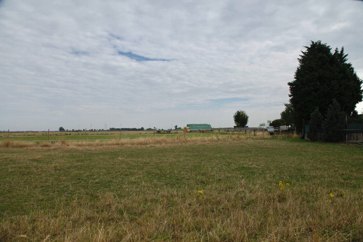 View North. The confluence may be supposed near the left yellow flower.