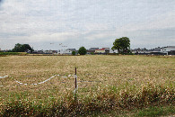 #3: View South, with the Mercator monument below the tree