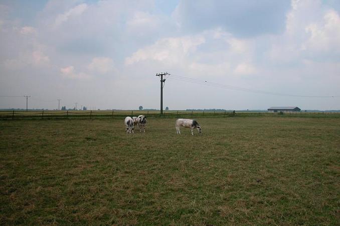 View from the confluence / Blick vom Confluence Punkt