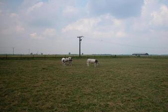 #1: View from the confluence / Blick vom Confluence Punkt