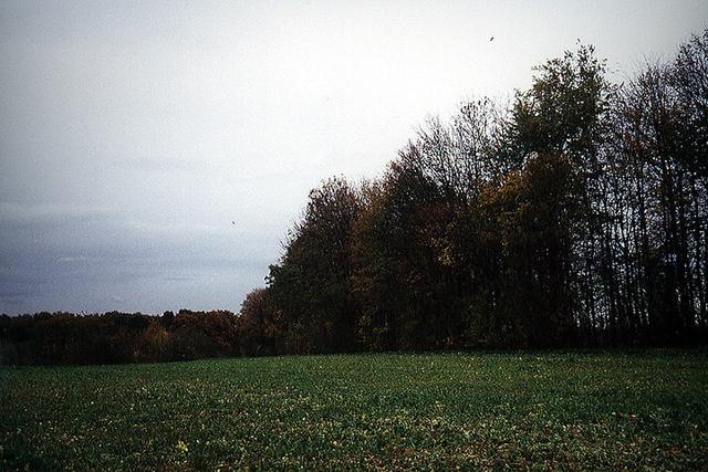 view from the confluence to the east direction