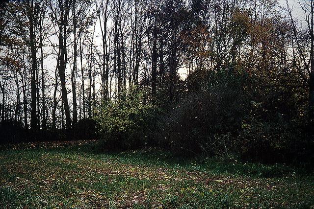 view from the confluence to the south direction