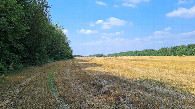#2: View to the North