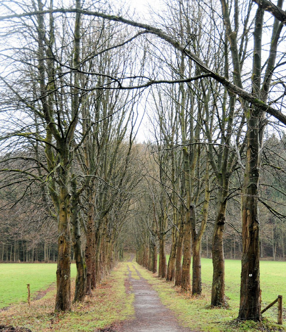 Weg, weg vom Herrenhaus