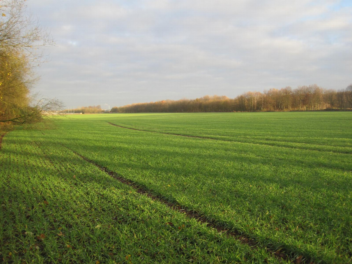 Norden; view north