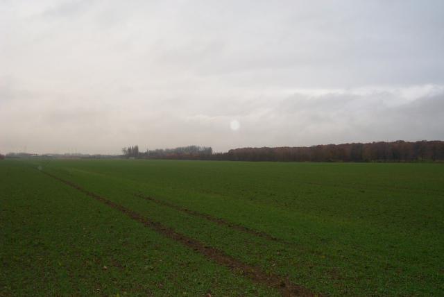 View from the confluence point / Blick vom Confluence Punkt