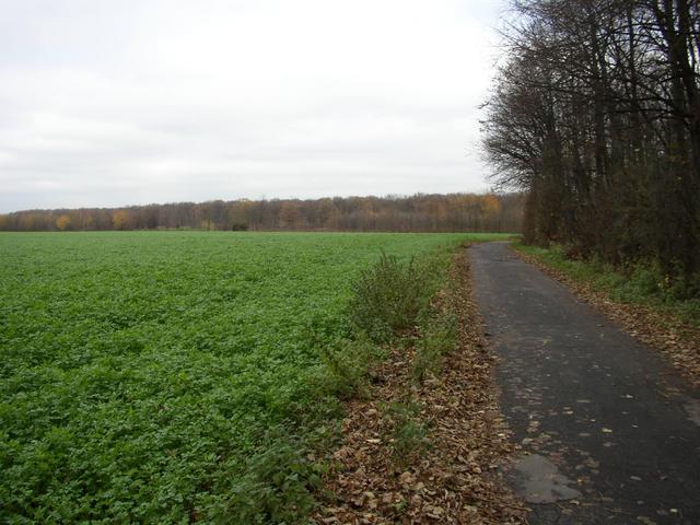 Blick nach Osten - View East