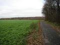 #3: Blick nach Osten - View East