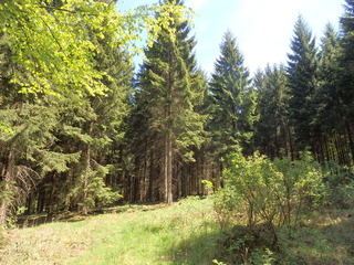 #1: The Confluence from 50 m distance