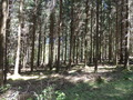 #3: View to the East