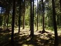 #4: View to the South