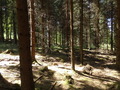 #5: View to the West