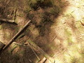 #7: Ground Zero