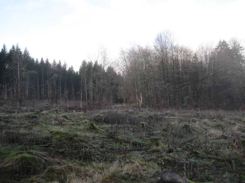 Osten; view east
