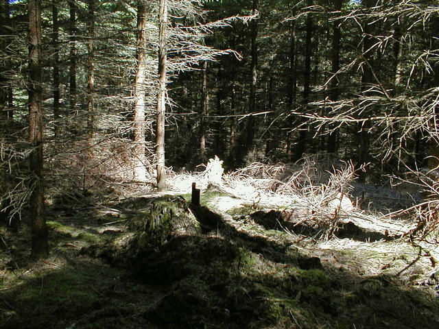 The confluence point from behind